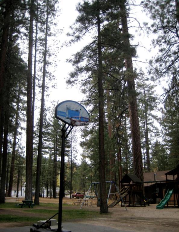 Majestic Moose Lodge - Coptic Village Big Bear Lake Exterior foto